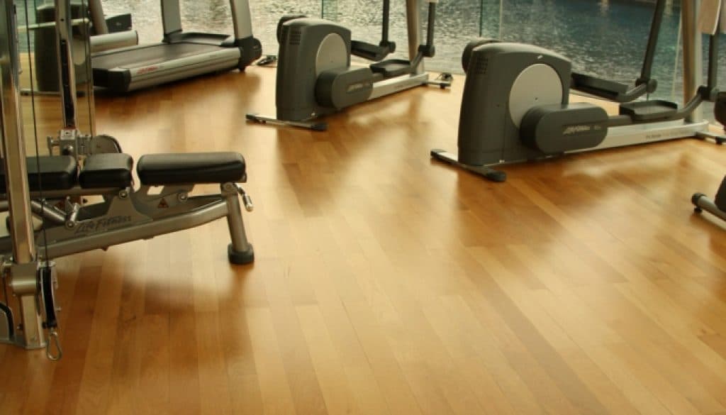 FITNESS ROOM SHANGRILA - Gracewood Type : DOUSSIE